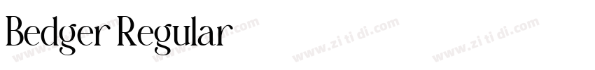 Bedger Regular字体转换